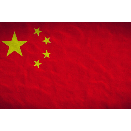 MT5 Grey Label Solutions in China